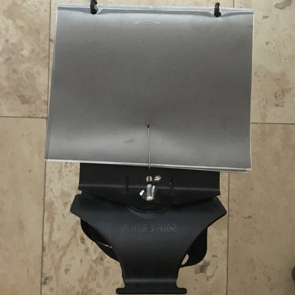Arm Flute Stand